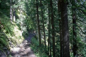 hide a hose of washington issiquah