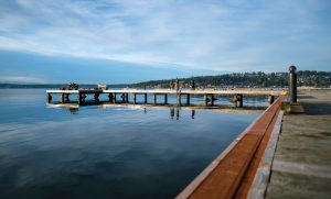 hide a hose of washington kirkland