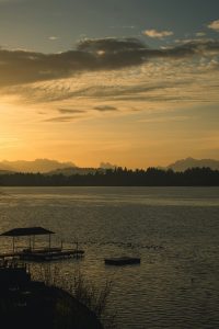 hide a hose of washington lake stevens