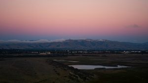 hide a hose of washington monroe