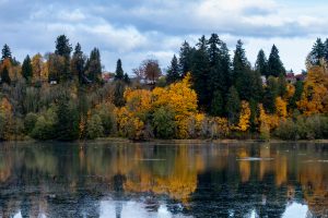 hide a hose of washington sammamish